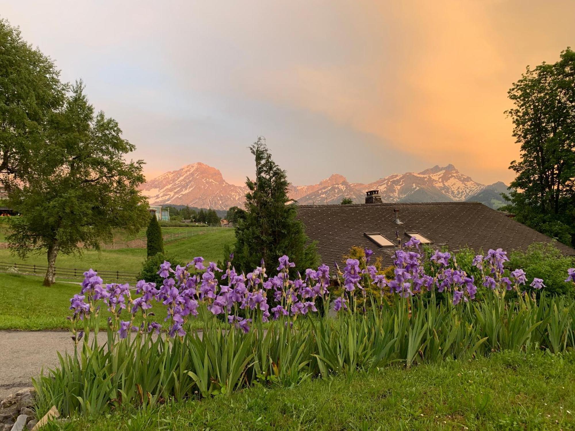 Chalet La Renarde Villars-sur-Ollon Rum bild