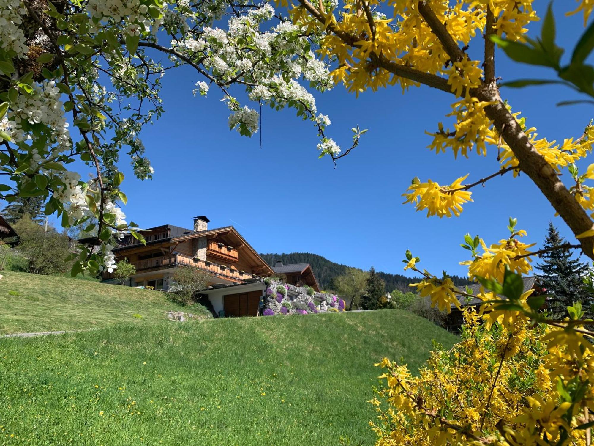 Chalet La Renarde Villars-sur-Ollon Exteriör bild