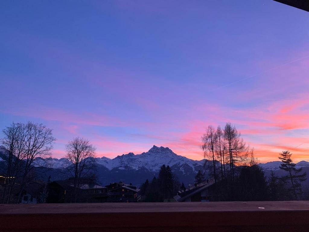 Chalet La Renarde Villars-sur-Ollon Exteriör bild